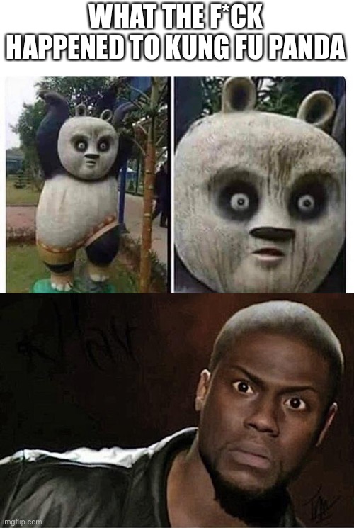 Kung fu panda’s on drugs | WHAT THE F*CK HAPPENED TO KUNG FU PANDA | image tagged in memes,kevin hart | made w/ Imgflip meme maker
