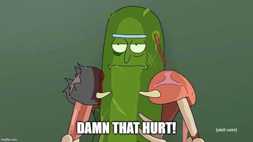 pickle rick | DAMN THAT HURT! | image tagged in pickle rick | made w/ Imgflip meme maker