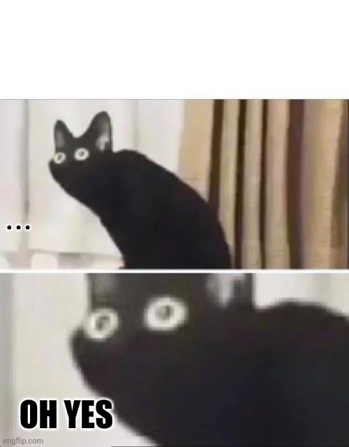 Oh No Black Cat | ... OH YES | image tagged in oh no black cat | made w/ Imgflip meme maker