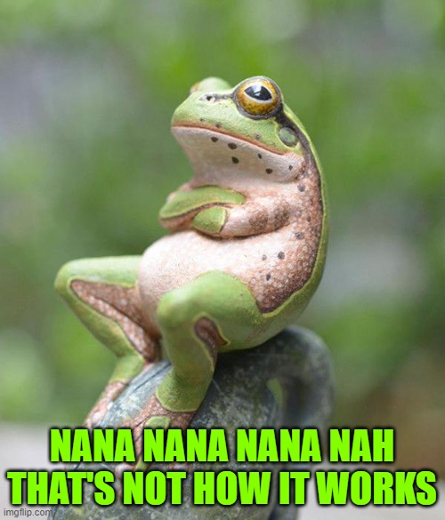 nah frog | NANA NANA NANA NAH
THAT'S NOT HOW IT WORKS | image tagged in nah frog | made w/ Imgflip meme maker