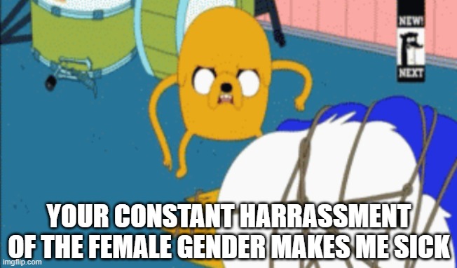 YOUR CONSTANT HARRASSMENT OF THE FEMALE GENDER MAKES ME SICK | made w/ Imgflip meme maker