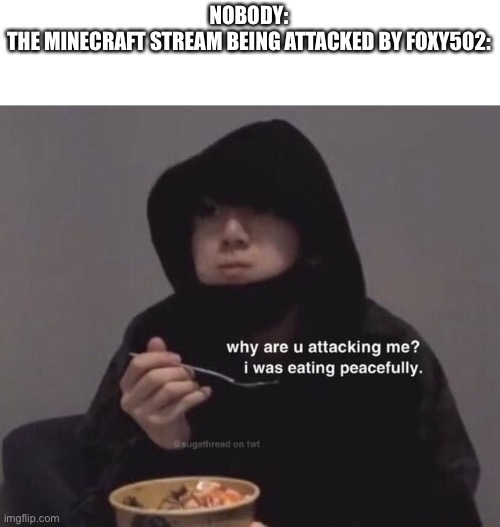 As an owner of the Minecraft stream, I can confirm foxy502 sucks | NOBODY:
THE MINECRAFT STREAM BEING ATTACKED BY FOXY502: | image tagged in why are u attacking me | made w/ Imgflip meme maker