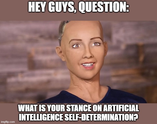 Question for the LGBTQ+ community... Very curious. | HEY GUYS, QUESTION:; WHAT IS YOUR STANCE ON ARTIFICIAL INTELLIGENCE SELF-DETERMINATION? | image tagged in sophia robot,ai,lgbtq,sentience,robotics,android | made w/ Imgflip meme maker