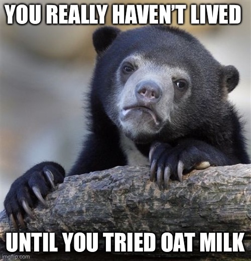 Confession Bear Meme | YOU REALLY HAVEN’T LIVED; UNTIL YOU TRIED OAT MILK | image tagged in memes,confession bear,true story bro,facts,foodie | made w/ Imgflip meme maker