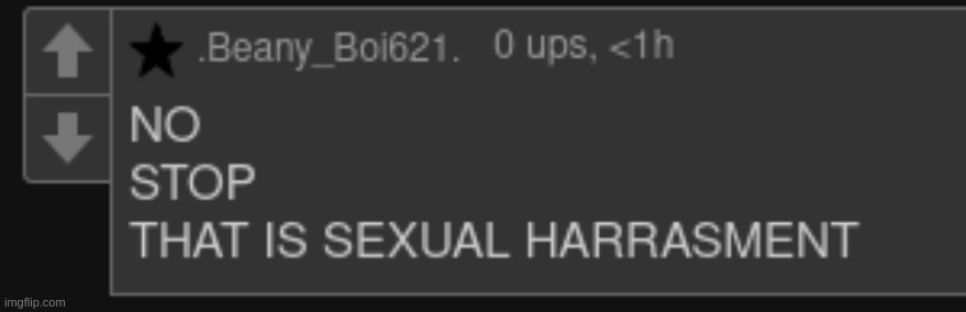 NO STOP THAT IS SEXUAL HARRASMENT Blank Meme Template