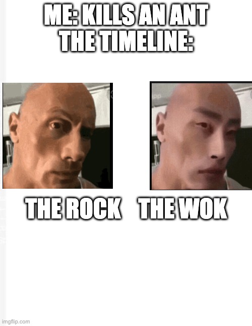 Blank Meme | ME: KILLS AN ANT
THE TIMELINE:; THE ROCK    THE WOK | image tagged in blank meme,funny memes,memes,funny,fun | made w/ Imgflip meme maker