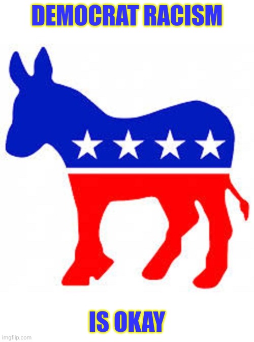 Democrat donkey | DEMOCRAT RACISM IS OKAY | image tagged in democrat donkey | made w/ Imgflip meme maker