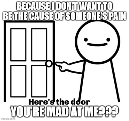 You're mad at me? | BECAUSE I DON'T WANT TO BE THE CAUSE OF SOMEONE'S PAIN; YOU'RE MAD AT ME??? | image tagged in door | made w/ Imgflip meme maker