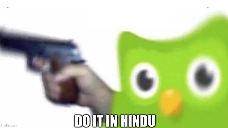 duolingo gun | DO IT IN HINDU | image tagged in duolingo gun | made w/ Imgflip meme maker