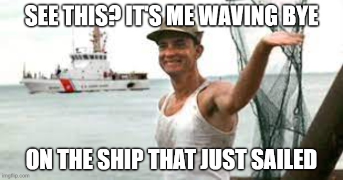 Ship Just Sailed | SEE THIS? IT'S ME WAVING BYE; ON THE SHIP THAT JUST SAILED | image tagged in forrest gump | made w/ Imgflip meme maker