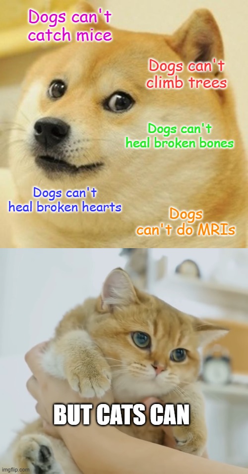 love that cat | Dogs can't catch mice; Dogs can't climb trees; Dogs can't heal broken bones; Dogs can't heal broken hearts; Dogs can't do MRIs; BUT CATS CAN | image tagged in memes,doge,cats | made w/ Imgflip meme maker