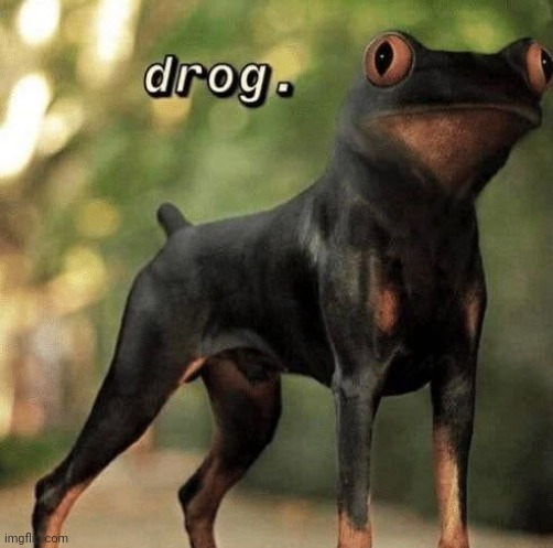 Drog. | made w/ Imgflip meme maker