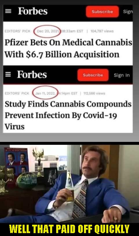 Study Finds |  WELL THAT PAID OFF QUICKLY | image tagged in memes,well that escalated quickly,pfizer | made w/ Imgflip meme maker