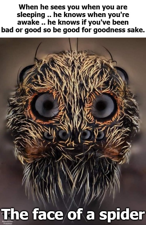 He would like to meet you | When he sees you when you are sleeping .. he knows when you're awake .. he knows if you've been bad or good so be good for goodness sake. The face of a spider | image tagged in spider | made w/ Imgflip meme maker