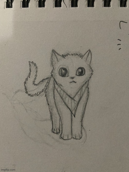 W.I.P adorable kitten ｡^‿^｡ | image tagged in kitten,art,drawing,adorable | made w/ Imgflip meme maker