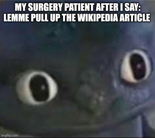 Shit | MY SURGERY PATIENT AFTER I SAY: LEMME PULL UP THE WIKIPEDIA ARTICLE | image tagged in toothless _ face | made w/ Imgflip meme maker