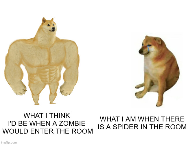 Buff Doge vs. Cheems Meme | WHAT I THINK 
I'D BE WHEN A ZOMBIE 
WOULD ENTER THE ROOM; WHAT I AM WHEN THERE IS A SPIDER IN THE ROOM | image tagged in memes,buff doge vs cheems | made w/ Imgflip meme maker