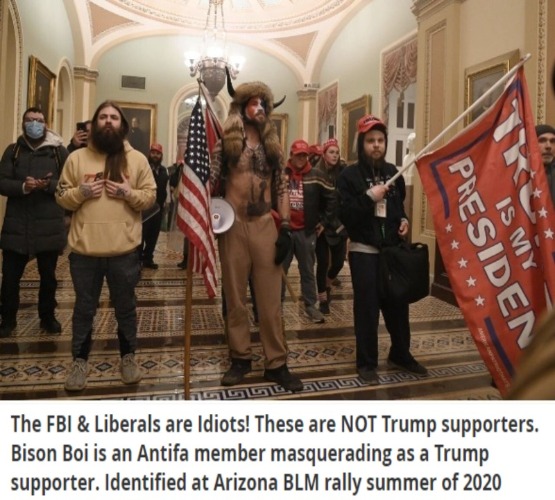 The FBI & Alphabet agencies are IDIOTS! | image tagged in shaman,bison boi,antifa,blm,black lives matter,crisis actors | made w/ Imgflip meme maker