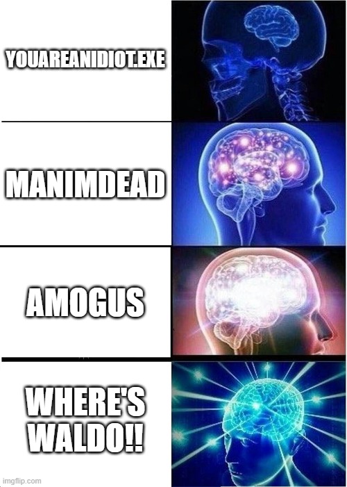 making the embarracing moments | YOUAREANIDIOT.EXE; MANIMDEAD; AMOGUS; WHERE'S WALDO!! | image tagged in memes,expanding brain | made w/ Imgflip meme maker