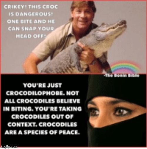 crocodilephobic | made w/ Imgflip meme maker