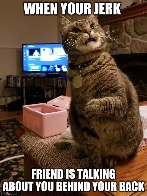 when your jerk friend you have to be friends with is talking about you behind your back | WHEN YOUR JERK; FRIEND IS TALKING ABOUT YOU BEHIND YOUR BACK | image tagged in imgflip | made w/ Imgflip meme maker