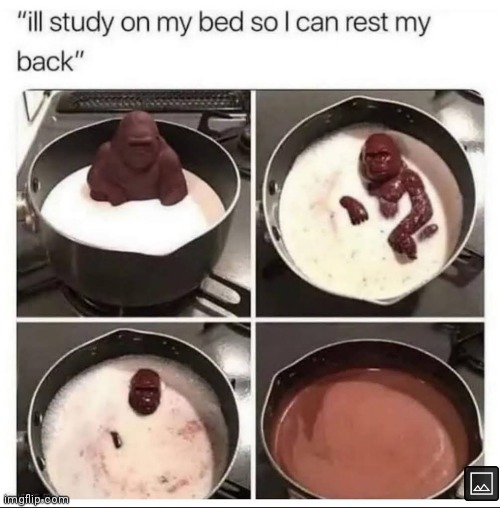 image tagged in memes,chocolate gorilla,melting gorilla,study,bed | made w/ Imgflip meme maker