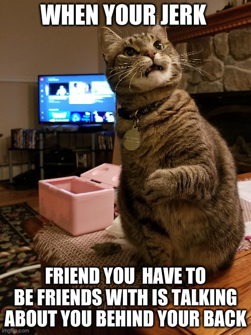 When your jerk friend you have to be friends with is talking about you behind your back | WHEN YOUR JERK; FRIEND YOU  HAVE TO BE FRIENDS WITH IS TALKING ABOUT YOU BEHIND YOUR BACK | image tagged in imgflip | made w/ Imgflip meme maker