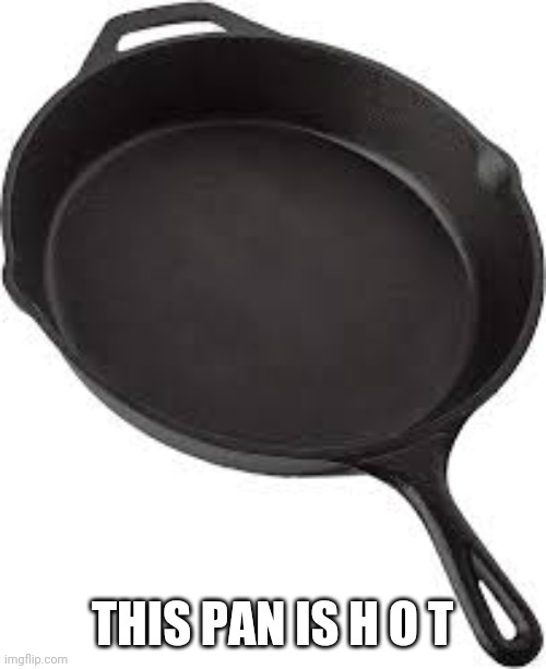 Pansexual joke lmfao | THIS PAN IS H O T | image tagged in pansexuals will understand,pansexual | made w/ Imgflip meme maker