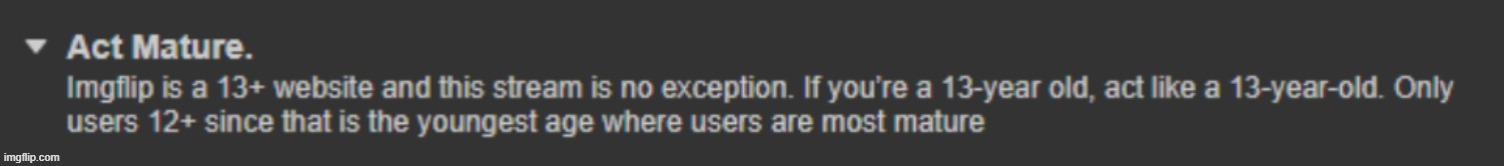MSMG ''Act Mature'' rule | image tagged in msmg ''act mature'' rule | made w/ Imgflip meme maker
