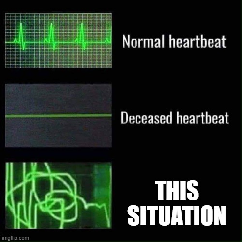 Heart beat meme | THIS SITUATION | image tagged in heart beat meme | made w/ Imgflip meme maker