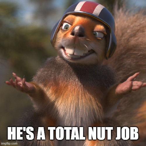 total nut job | HE'S A TOTAL NUT JOB | image tagged in nut job,squirrel | made w/ Imgflip meme maker