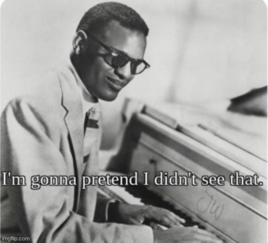 image tagged in im gonna pretend i didn't see that | made w/ Imgflip meme maker