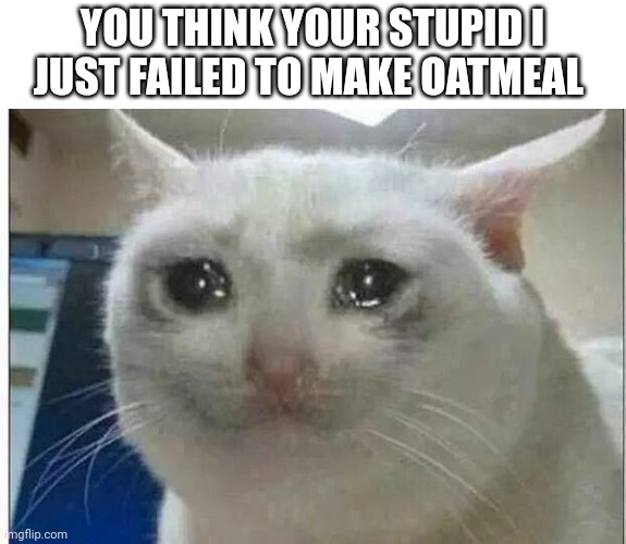 crying cat | YOU THINK YOUR STUPID I JUST FAILED TO MAKE OATMEAL | image tagged in crying cat | made w/ Imgflip meme maker