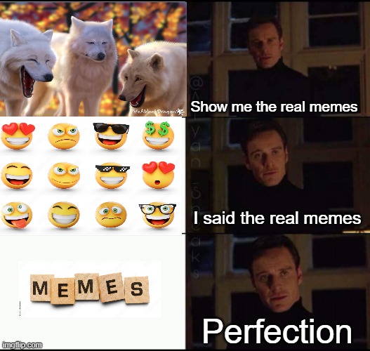 Memes that old meme | Show me the real memes; I said the real memes; Perfection | image tagged in show me the real,memes | made w/ Imgflip meme maker