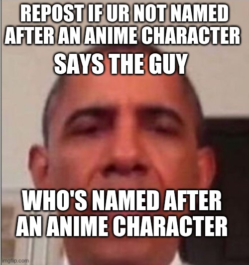 Says the guy who's named after an anime character | REPOST IF UR NOT NAMED AFTER AN ANIME CHARACTER | image tagged in says the guy who's named after an anime character | made w/ Imgflip meme maker