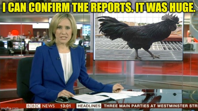 BBC Newsflash | I CAN CONFIRM THE REPORTS. IT WAS HUGE. | image tagged in bbc newsflash,bbc,giant,chicken,its time to stop | made w/ Imgflip meme maker