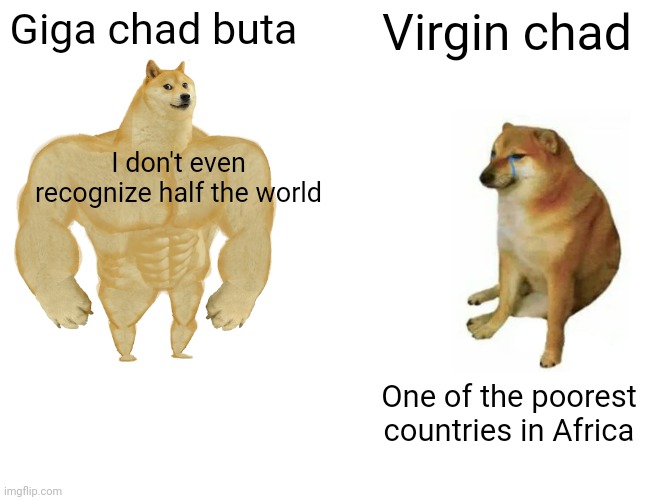 Im so sorry chad | Giga chad buta; Virgin chad; I don't even recognize half the world; One of the poorest countries in Africa | image tagged in memes,buff doge vs cheems | made w/ Imgflip meme maker