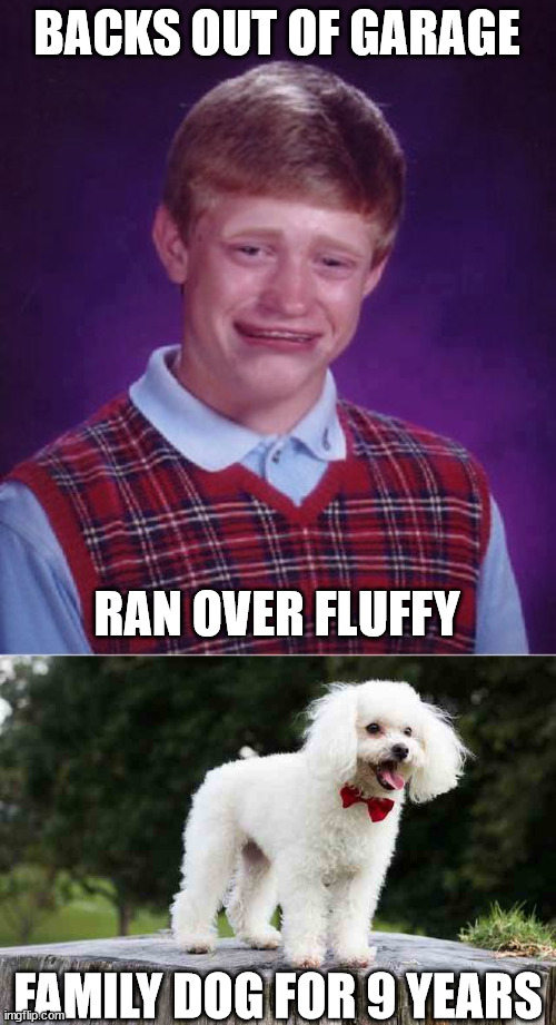 BACKS OUT OF GARAGE RAN OVER FLUFFY FAMILY DOG FOR 9 YEARS | made w/ Imgflip meme maker