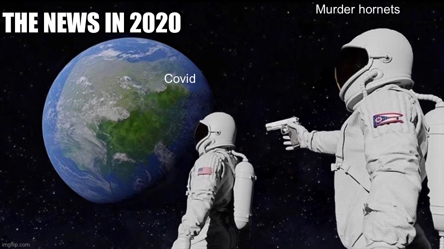 Always Has Been Meme | THE NEWS IN 2020; Murder hornets; Covid | image tagged in memes,always has been | made w/ Imgflip meme maker