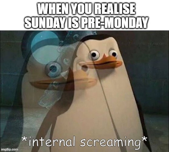 Private Internal Screaming | WHEN YOU REALISE SUNDAY IS PRE-MONDAY | image tagged in private internal screaming | made w/ Imgflip meme maker