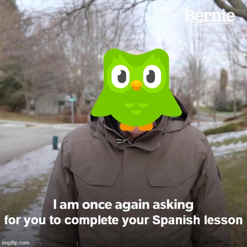Bernie I Am Once Again Asking For Your Support Meme | for you to complete your Spanish lesson | image tagged in memes,bernie i am once again asking for your support | made w/ Imgflip meme maker