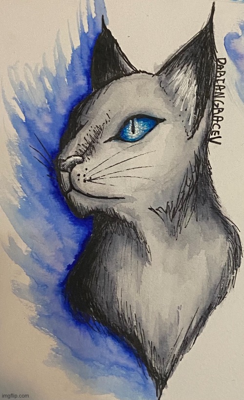 ▶︎ Blue◇Feline ◀︎ | image tagged in feline,paint,sketch,blue,im blue da ba dee da ba di | made w/ Imgflip meme maker