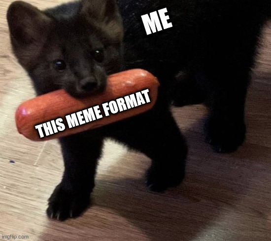 sausage sable | ME; THIS MEME FORMAT | image tagged in sausage sable | made w/ Imgflip meme maker