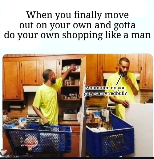When you finally move out on your own and gotta do your own shopping like a man; /; Mommmm do you guys carry redbull? | image tagged in on my own,responsibilities and shit,mommmmm,redbull,do yall take ebt | made w/ Imgflip meme maker
