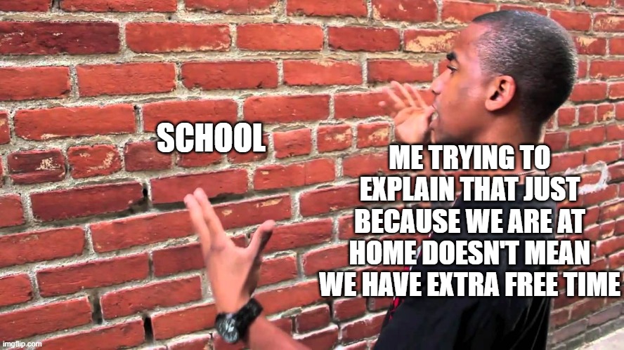 Meme | SCHOOL; ME TRYING TO EXPLAIN THAT JUST BECAUSE WE ARE AT HOME DOESN'T MEAN WE HAVE EXTRA FREE TIME | image tagged in talking to wall | made w/ Imgflip meme maker