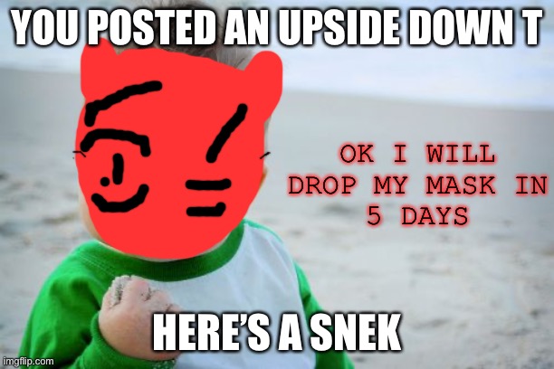 sneerekkeekek pekre to face re | YOU POSTED AN UPSIDE DOWN T; OK I WILL DROP MY MASK IN
5 DAYS; HERE’S A SNEK | image tagged in memes,success kid original,face rev | made w/ Imgflip meme maker