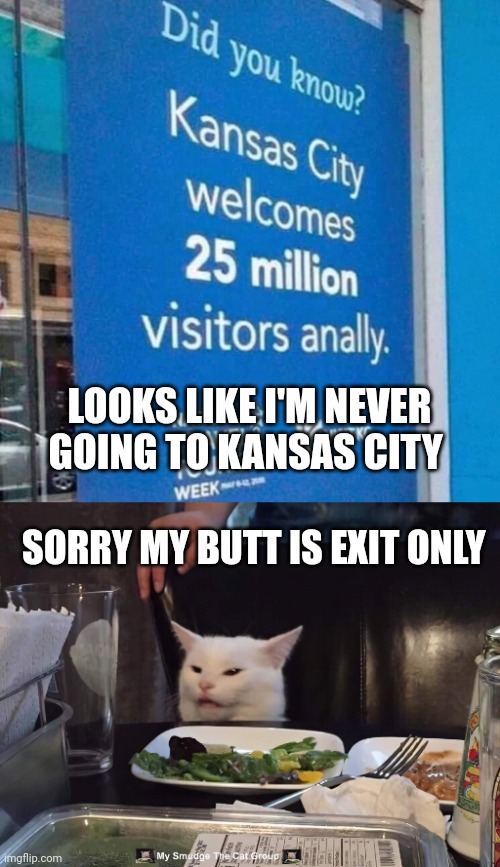 LOOKS LIKE I'M NEVER GOING TO KANSAS CITY; SORRY MY BUTT IS EXIT ONLY | image tagged in smudge the cat | made w/ Imgflip meme maker