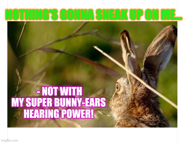 Bunny Ears |  NOTHING'S GONNA SNEAK UP ON ME... - NOT WITH MY SUPER BUNNY-EARS HEARING POWER! | image tagged in bunny | made w/ Imgflip meme maker