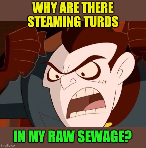 Draken Complains | WHY ARE THERE STEAMING TURDS IN MY RAW SEWAGE? | image tagged in draken complains | made w/ Imgflip meme maker