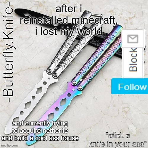 and give me other goals to do | after i reinstalled minecraft, i lost my world; and currently trying to acquire netherite and build a cool ass house | image tagged in butterfly knife temp | made w/ Imgflip meme maker
